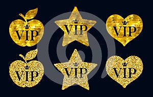 VIP premium golden badges set.