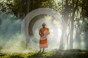 Vipassana meditation monk walks in a quiet forest.