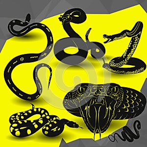 Viper Rattlesnake icon vector illustration