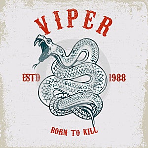 Viper snake illustration on grunge background. Design element for poster, card, t shirt. photo
