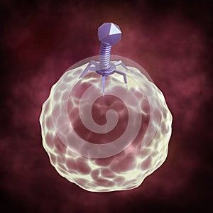 Viral infection, bacteriophage entering inside bacteria, medical illustration, 3d rendering