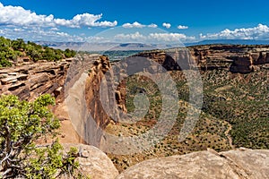 Virew of Colorado National Monumnet from Rim Rock Drive