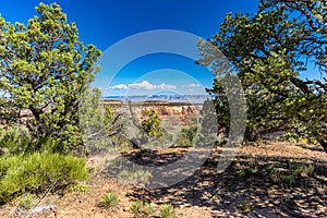 Virew of Colorado National Monumnet from Rim Rock Drive