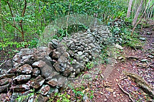 Virgin Islands National Park Trail