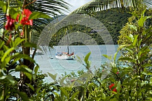 Virgin Islands View