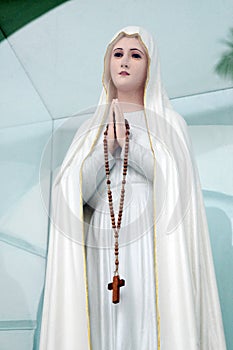 Virgin Mary photo