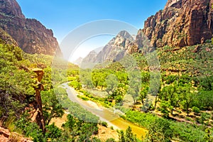 Virgin nature paniramic view of Zion National Park