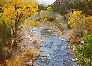 Virgin River In Autumn, Zion