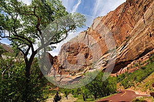 Virgin River Gorge Zion NP