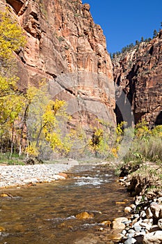 The Virgin River by The Narrows
