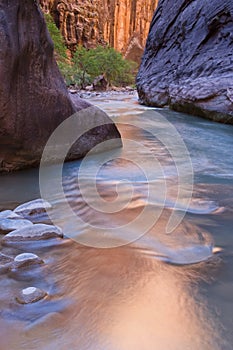 Virgin River Narrows photo