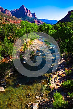 Virgin River running through Zion National Park,Utah