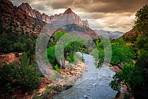 Virgin River and The Watchman Sunset, Zion National Park, Utah