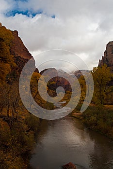 Virgin River in Zion