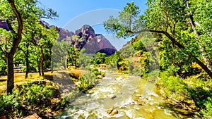 The Virgin River in Zion Canyon of Zion National Park in Utah, United States.
