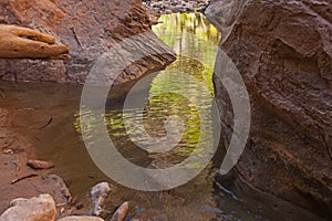 Virgin River Zion National Park 2592