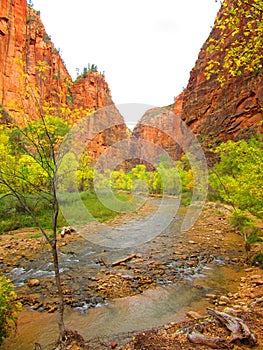 Virgin River, Zion National Park, Utah