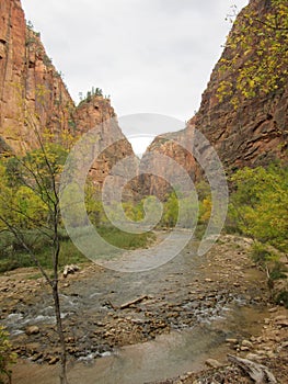 The Virgin River, Zion National Park, Utah