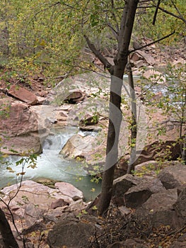 The Virgin River, Zion National Park, Utah