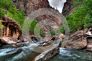 Virgin River at Zion Park