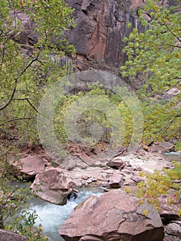 The Virgin Rover, Zion National Park, Utah