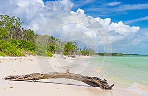 Virgin tropical beach at Coco Key (Cayo Coco) in Cuba