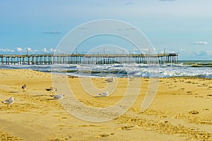 Virginia Beach Fishing Pier and Boardwalk, Virginia Beach, Virginia