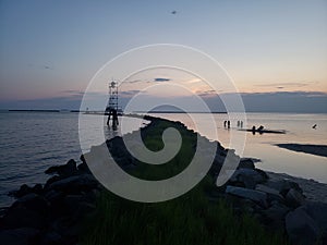 Virginia Beach Ocean Grass