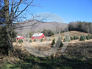 Virginia Creeper Trail