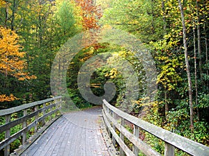 Virginia Creeper Trail