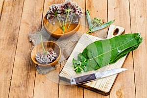 Virginia silkweed on the herbalist's table photo