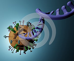 Virosomes are vesicular bodies designed to deliver various substances such as genetic material