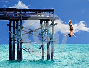 A virtual diver takes a risky turn diving off the end of a beach pier as a flock of pelicans fly by