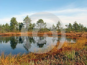 Viru Bog photo