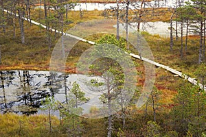 Viru Bog in Lahemaa National Park in Estonia