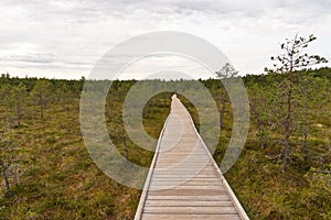 Viru bog Viru raba in the Lahemaa National Park in Estonia.
