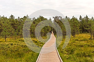 Viru bog Viru raba in the Lahemaa National Park in Estonia.