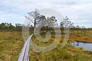 Viru bog Viru raba in the Lahemaa National Park in Estonia.