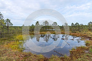 Viru bog Viru raba in the Lahemaa National Park in Estonia.