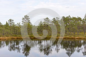 Viru bog Viru raba in the Lahemaa National Park in Estonia.