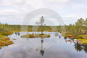 Viru bog Viru raba in the Lahemaa National Park in Estonia.