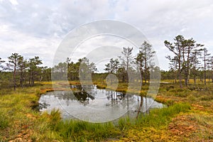 Viru bog Viru raba in the Lahemaa National Park in Estonia.