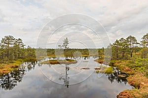 Viru bog Viru raba in the Lahemaa National Park in Estonia.