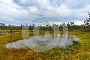 Viru bog Viru raba in the Lahemaa National Park in Estonia.