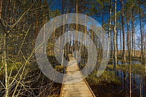 Viru Bog Viru Raba peat swamp, Estonia