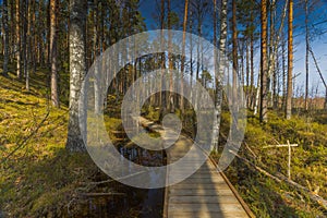 Viru Bog Viru Raba peat swamp, Estonia