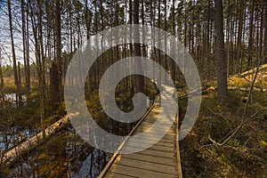 Viru Bog Viru Raba peat swamp, Estonia