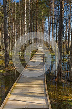 Viru Bog Viru Raba peat swamp, Estonia