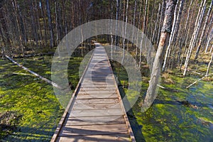 Viru Bog Viru Raba peat swamp, Estonia