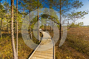 Viru Bog Viru Raba peat swamp, Estonia